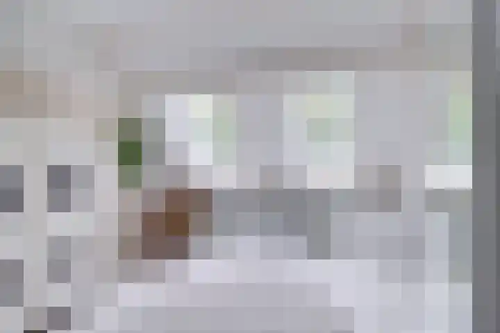 Bosschahof 21 Utrecht thumbnail 35