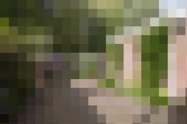 Bosschahof 21 Utrecht thumbnail 37
