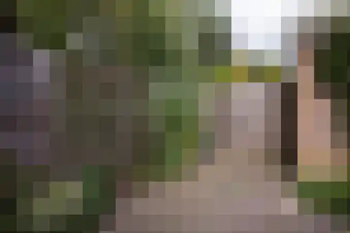 Bosschahof 21 Utrecht thumbnail 38