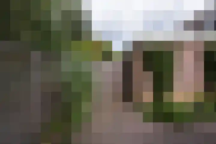 Bosschahof 21 Utrecht thumbnail 39