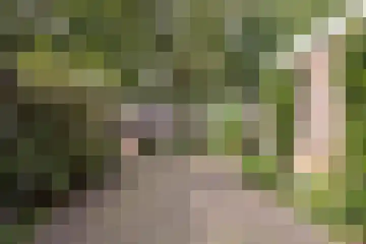 Bosschahof 21 Utrecht thumbnail 4