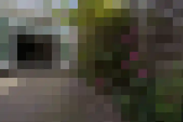 Bosschahof 21 Utrecht thumbnail 42