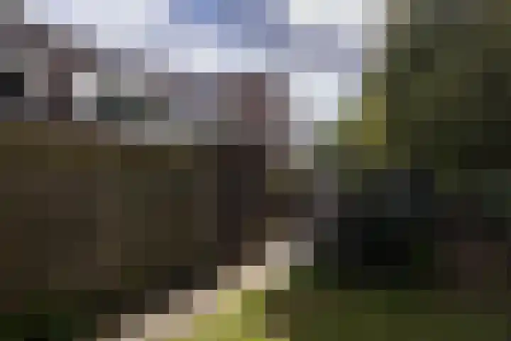 Bosschahof 21 Utrecht thumbnail 45