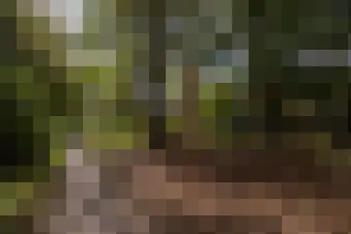 Bosschahof 21 Utrecht thumbnail 46