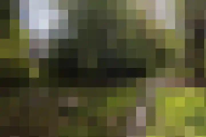 Bosschahof 21 Utrecht thumbnail 47
