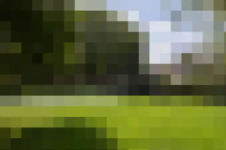 Bosschahof 21 Utrecht thumbnail 48