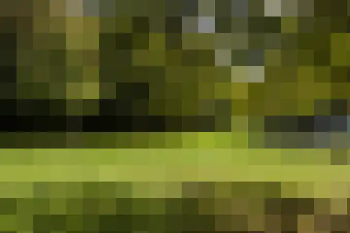 Bosschahof 21 Utrecht thumbnail 49