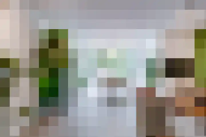 Bosschahof 21 Utrecht thumbnail 5