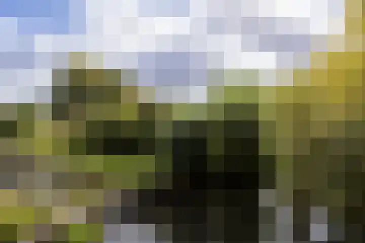 Bosschahof 21 Utrecht thumbnail 50
