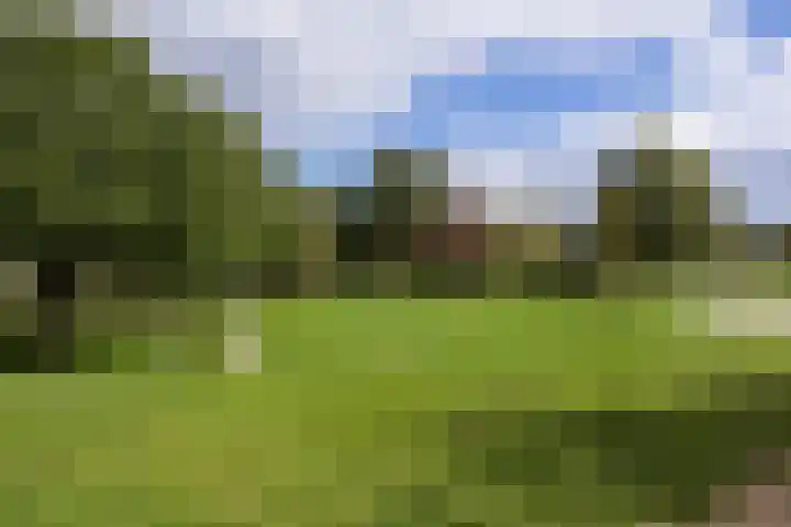 Bosschahof 21 Utrecht thumbnail 51