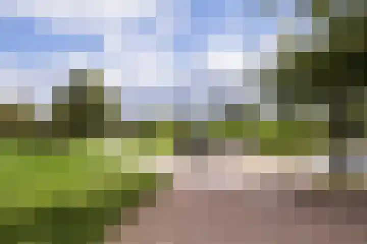 Bosschahof 21 Utrecht thumbnail 52