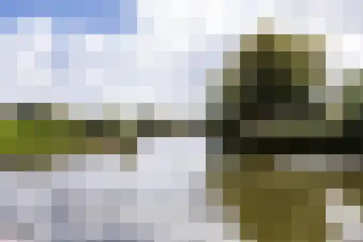 Bosschahof 21 Utrecht thumbnail 53