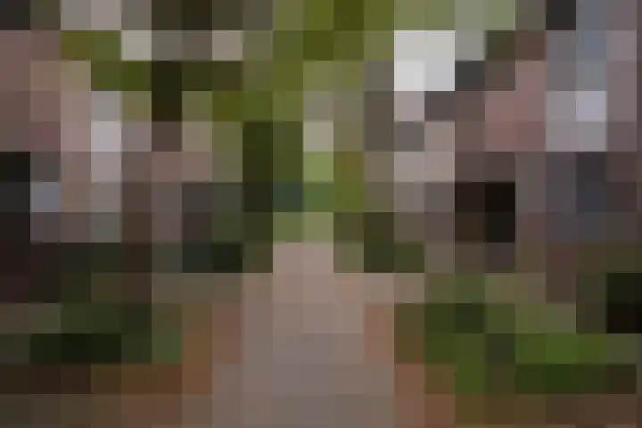 Bosschahof 21 Utrecht thumbnail 54