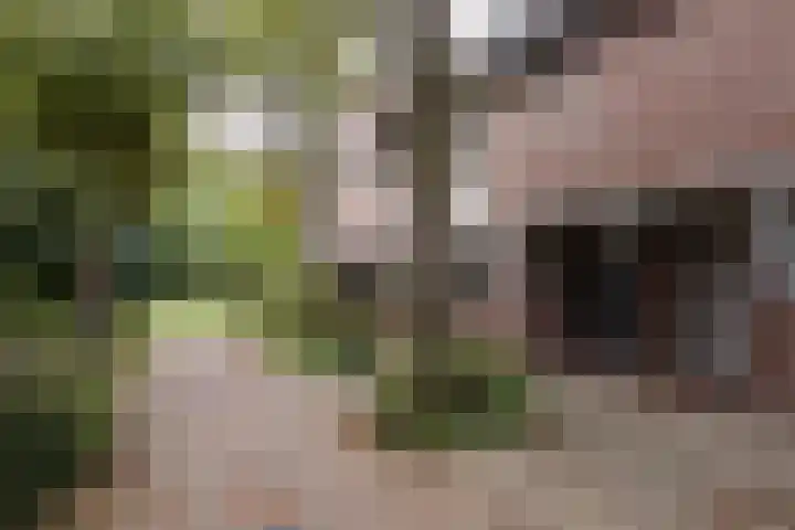 Bosschahof 21 Utrecht thumbnail 55