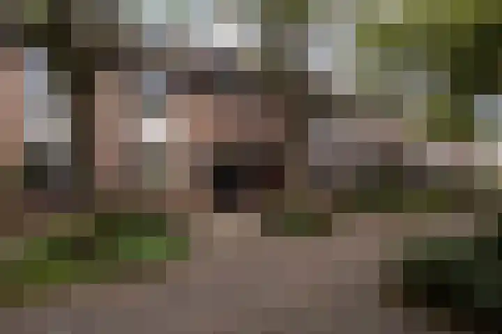 Bosschahof 21 Utrecht thumbnail 56