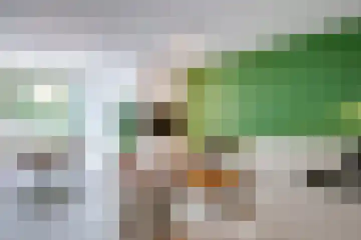 Bosschahof 21 Utrecht thumbnail 6