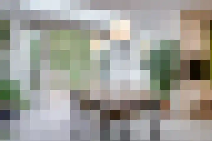 Bosschahof 21 Utrecht thumbnail 8