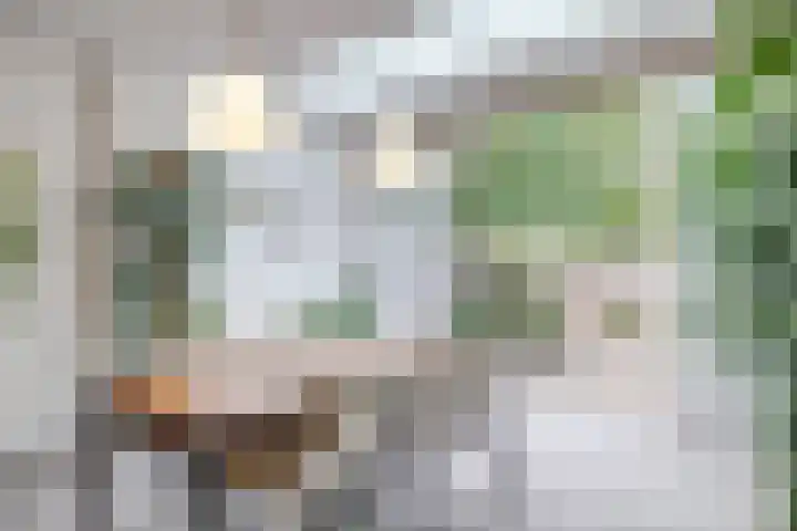 Bosschahof 21 Utrecht thumbnail 9
