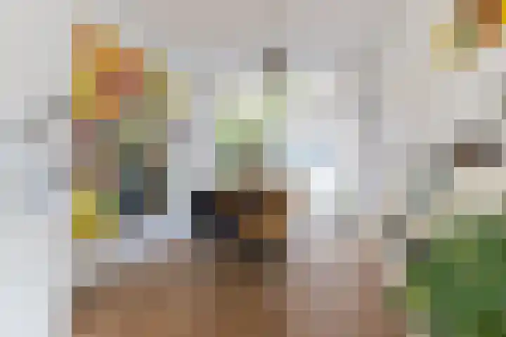 Bosschastraat 2 Utrecht thumbnail 15