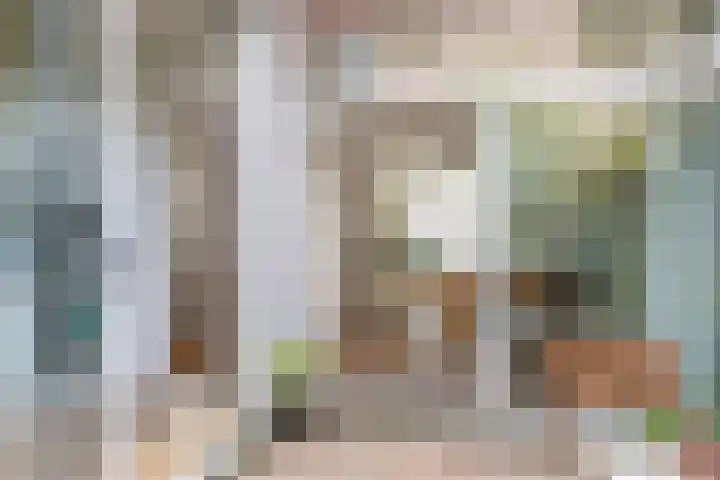 Bosschastraat 2 Utrecht thumbnail 22