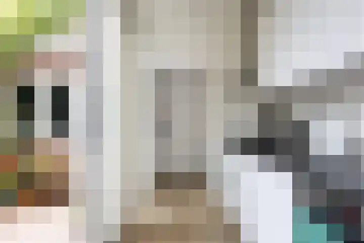 Bosschastraat 2 Utrecht thumbnail 24