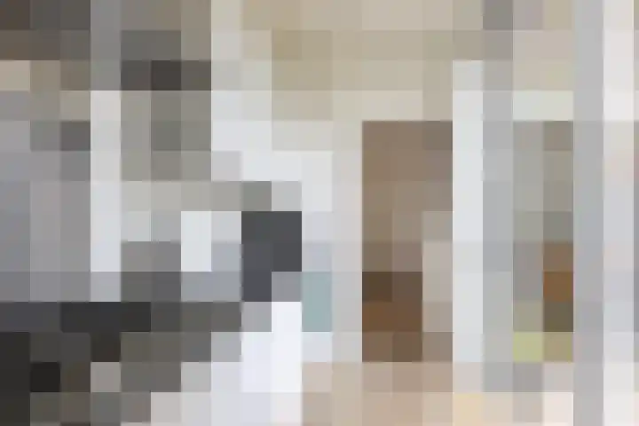 Bosschastraat 2 Utrecht thumbnail 26