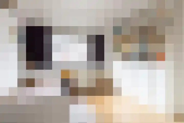 Bosschastraat 2 Utrecht thumbnail 32