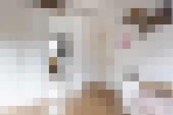 Bosschastraat 2 Utrecht thumbnail 33