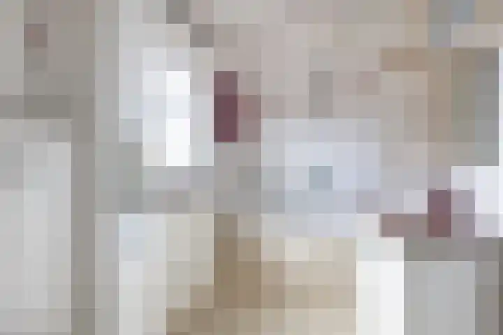 Bosschastraat 2 Utrecht thumbnail 34