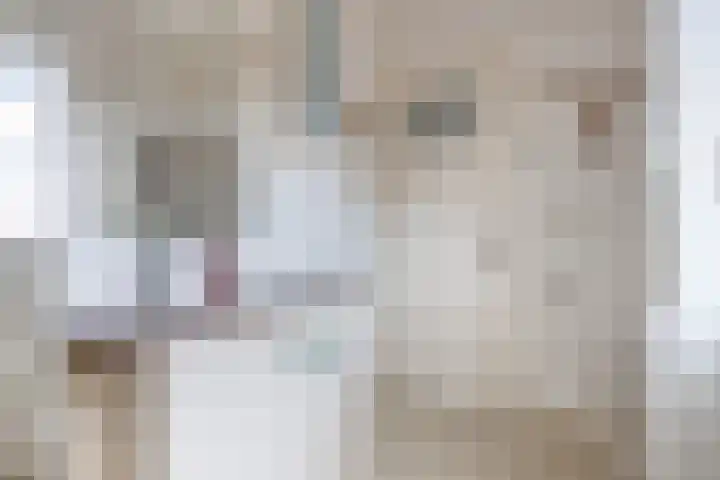 Bosschastraat 2 Utrecht thumbnail 36