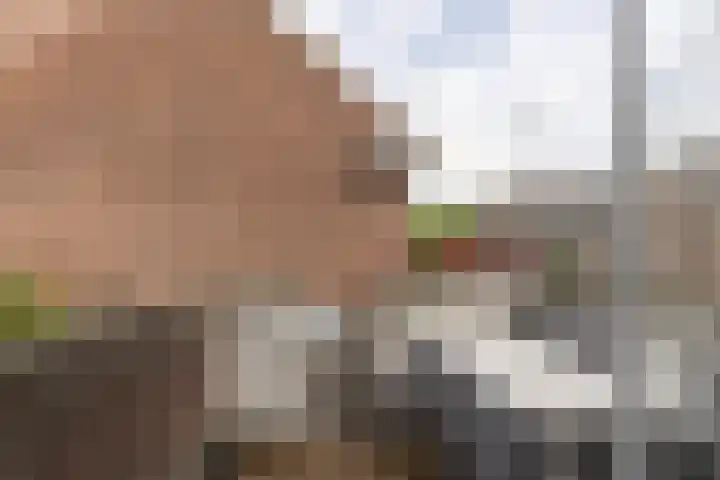 Bosschastraat 2 Utrecht thumbnail 38