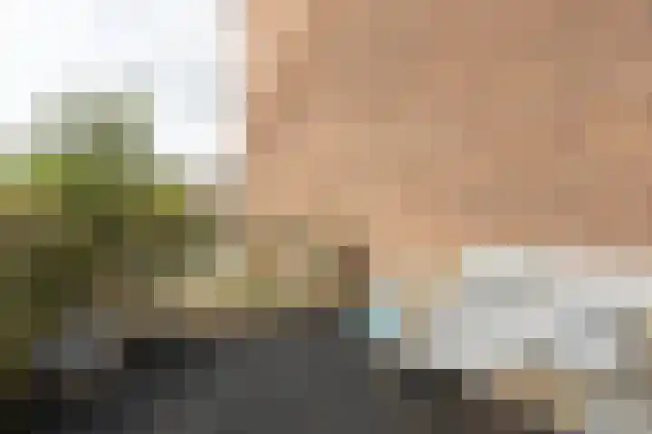 Bosschastraat 2 Utrecht thumbnail 41