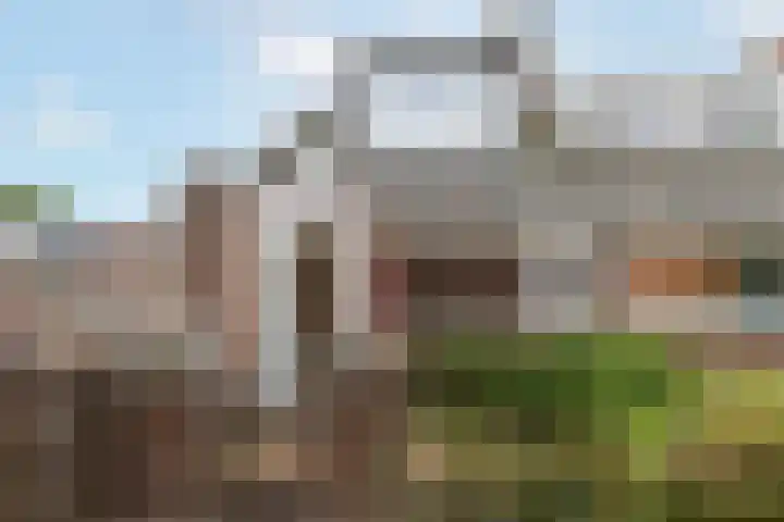 Bosschastraat 2 Utrecht thumbnail 43