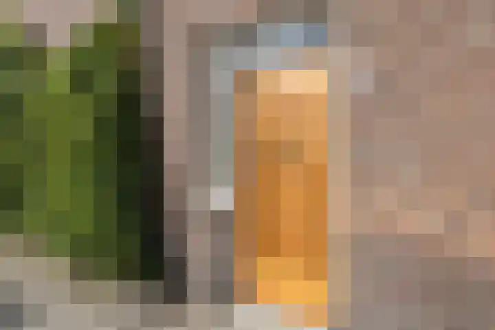 Bosschastraat 2 Utrecht thumbnail 8