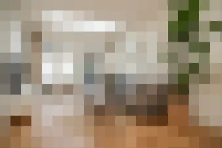 Bosschastraat 3 Utrecht thumbnail 17
