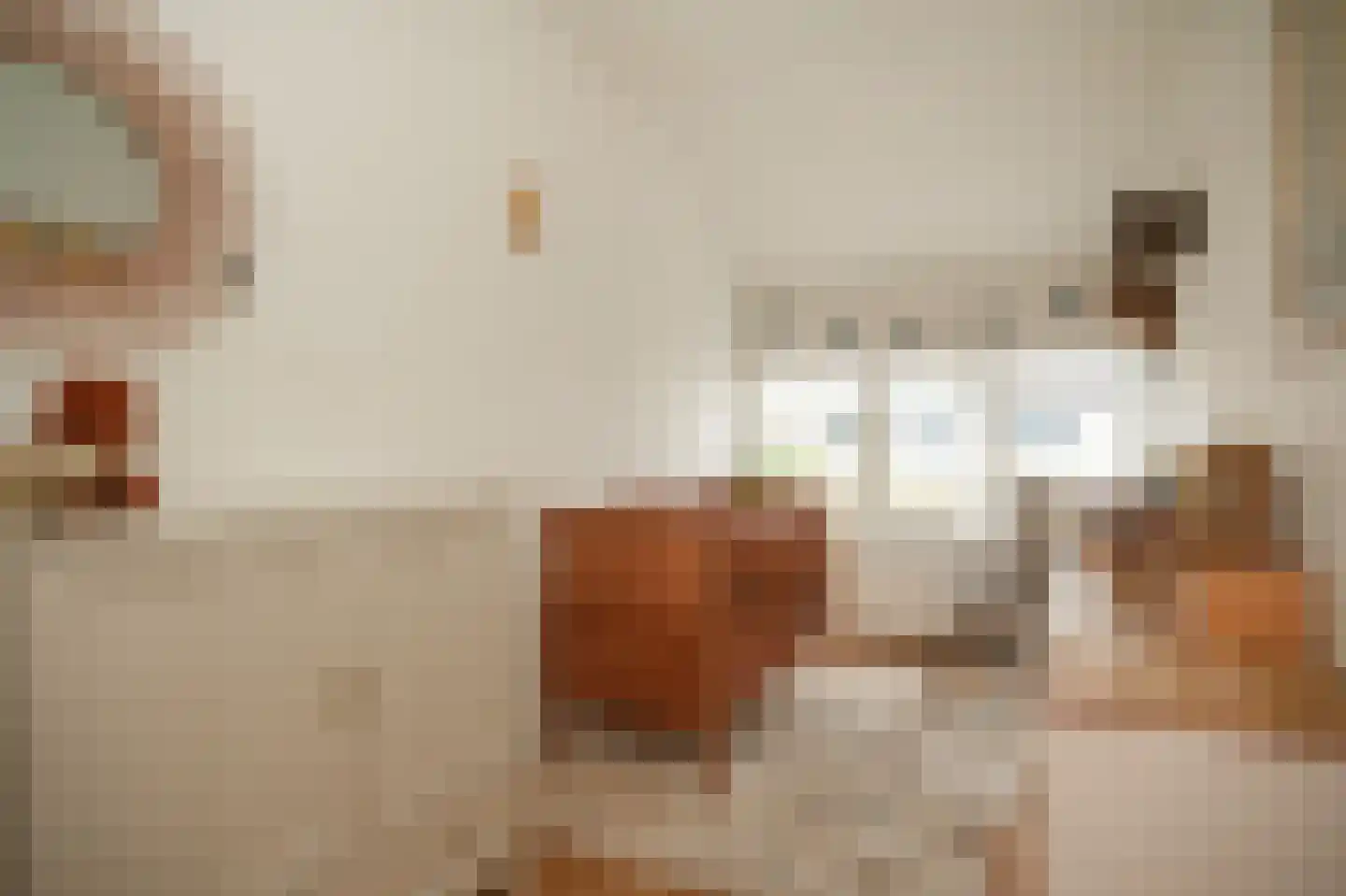 Bosschastraat 3 Utrecht thumbnail 27