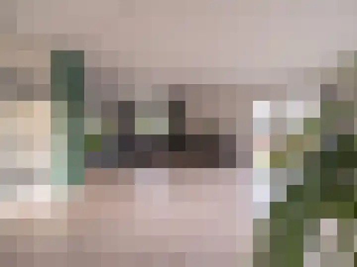 Bosschawei 5 Boornbergum thumbnail 10