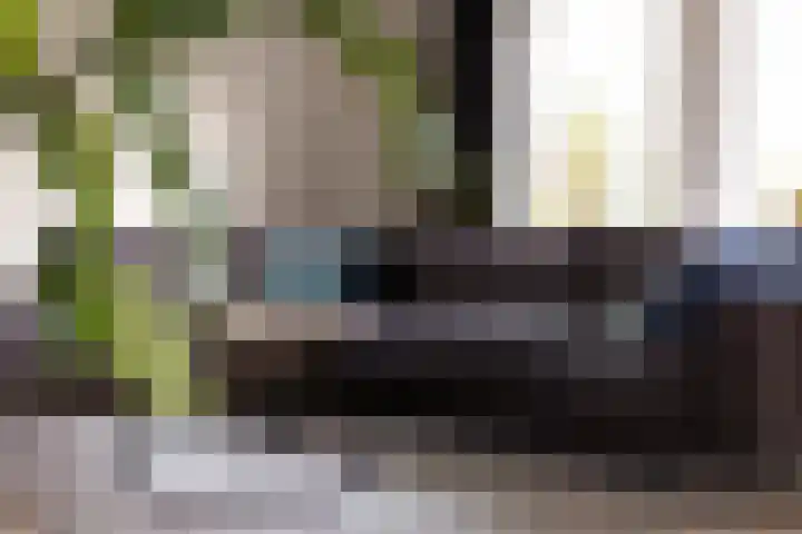 Bosschawei 5 Boornbergum thumbnail 12