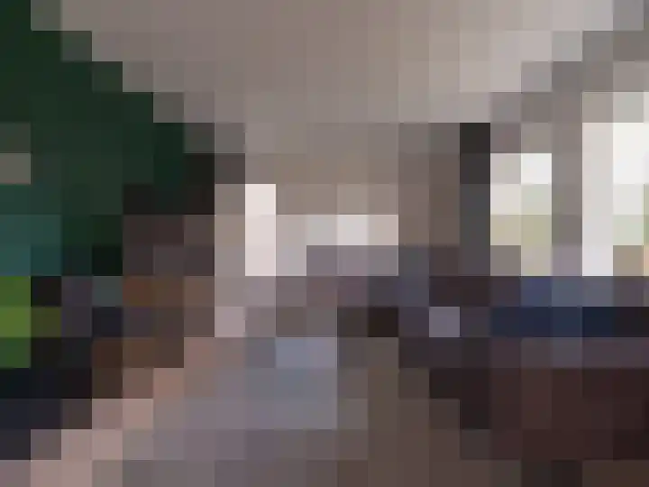 Bosschawei 5 Boornbergum thumbnail 13