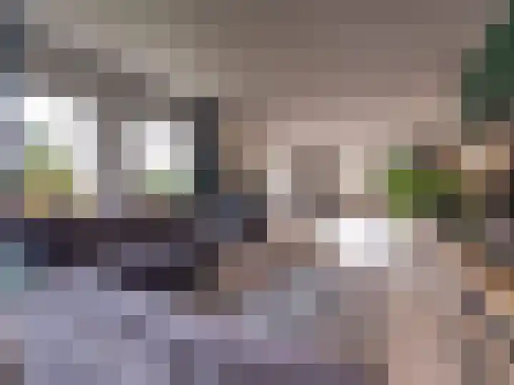Bosschawei 5 Boornbergum thumbnail 14
