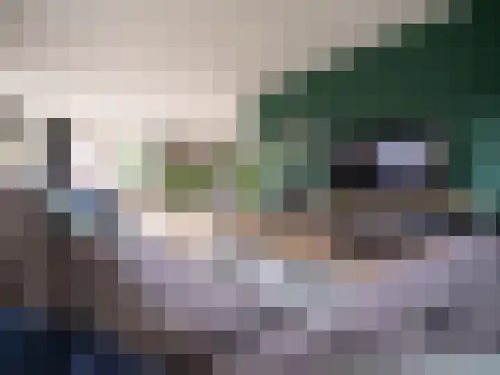 Bosschawei 5 Boornbergum thumbnail 15