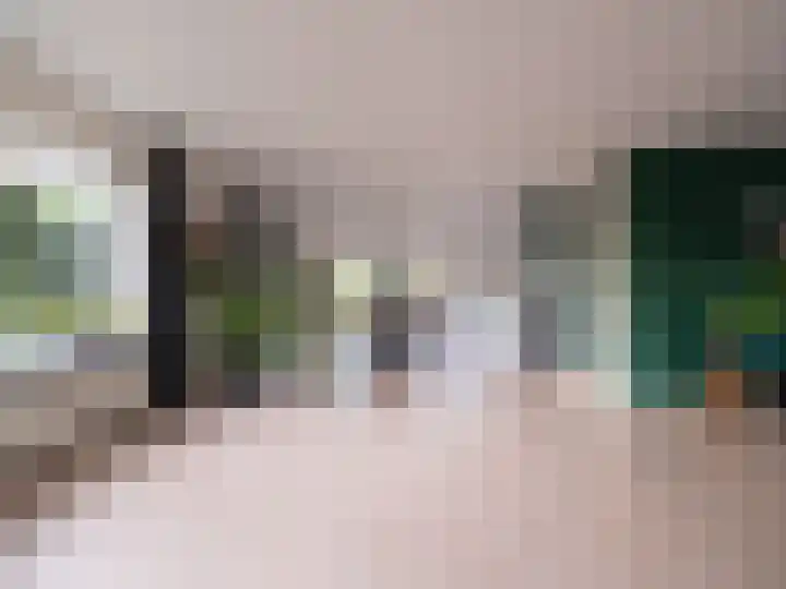 Bosschawei 5 Boornbergum thumbnail 16