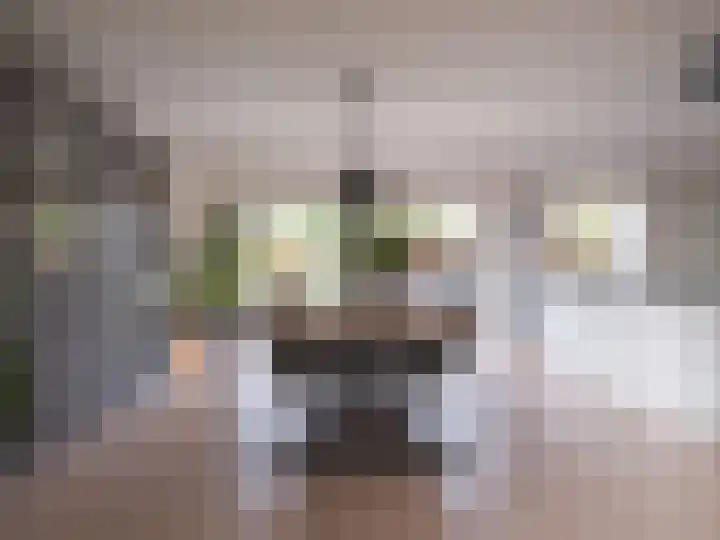 Bosschawei 5 Boornbergum thumbnail 17