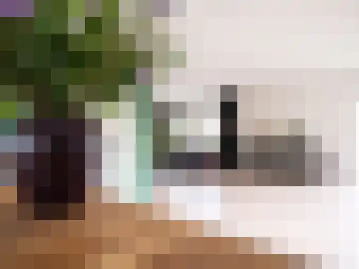 Bosschawei 5 Boornbergum thumbnail 18