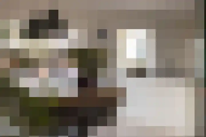 Bosschawei 5 Boornbergum thumbnail 19