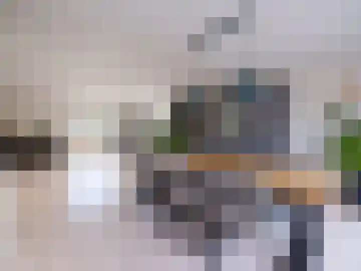Bosschawei 5 Boornbergum thumbnail 20