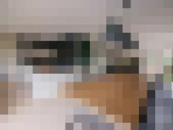 Bosschawei 5 Boornbergum thumbnail 21