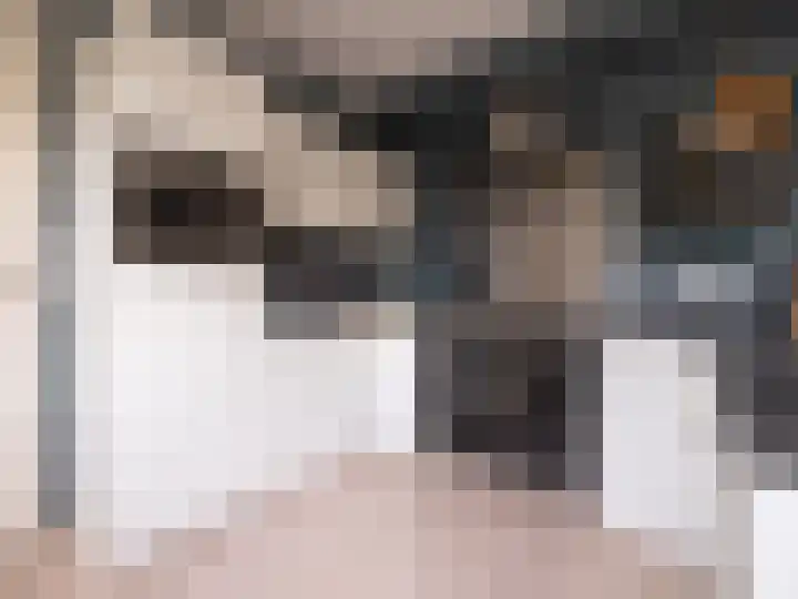 Bosschawei 5 Boornbergum thumbnail 22