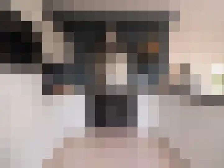 Bosschawei 5 Boornbergum thumbnail 23