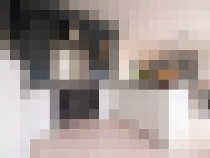 Bosschawei 5 Boornbergum thumbnail 24